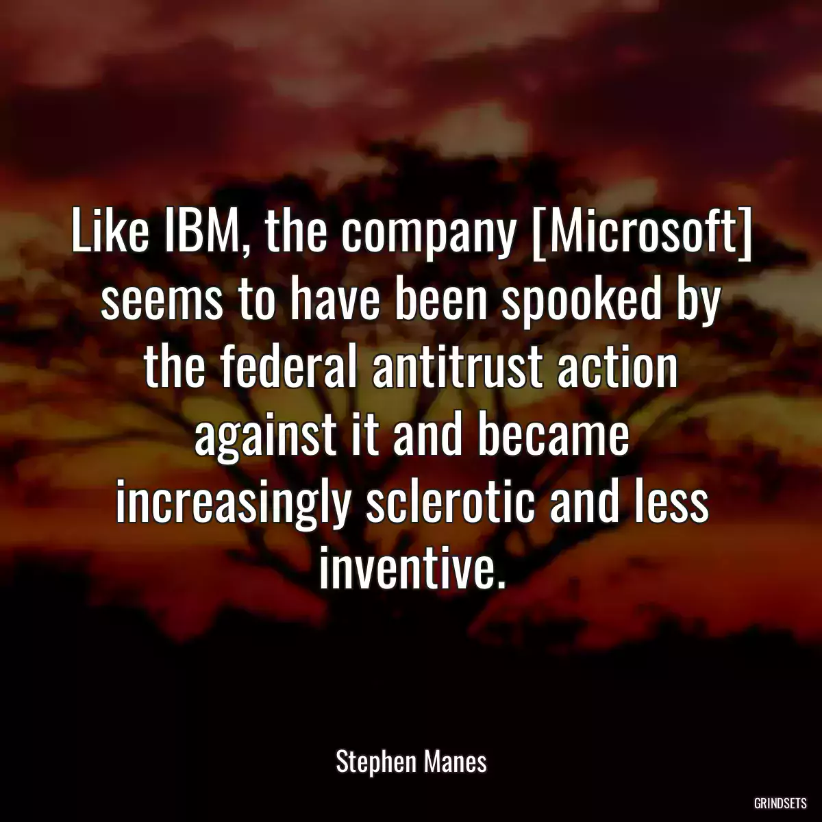 Like IBM, the company [Microsoft] seems to have been spooked by the federal antitrust action against it and became increasingly sclerotic and less inventive.