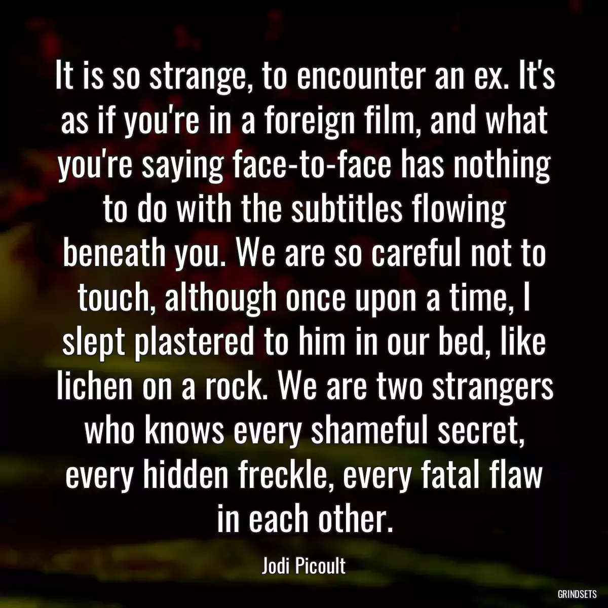 It is so strange, to encounter an ex. It\'s as if you\'re in a foreign film, and what you\'re saying face-to-face has nothing to do with the subtitles flowing beneath you. We are so careful not to touch, although once upon a time, I slept plastered to him in our bed, like lichen on a rock. We are two strangers who knows every shameful secret, every hidden freckle, every fatal flaw in each other.