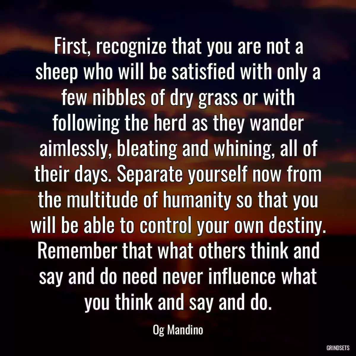 First, recognize that you are not a sheep who will be satisfied with only a few nibbles of dry grass or with following the herd as they wander aimlessly, bleating and whining, all of their days. Separate yourself now from the multitude of humanity so that you will be able to control your own destiny. Remember that what others think and say and do need never influence what you think and say and do.