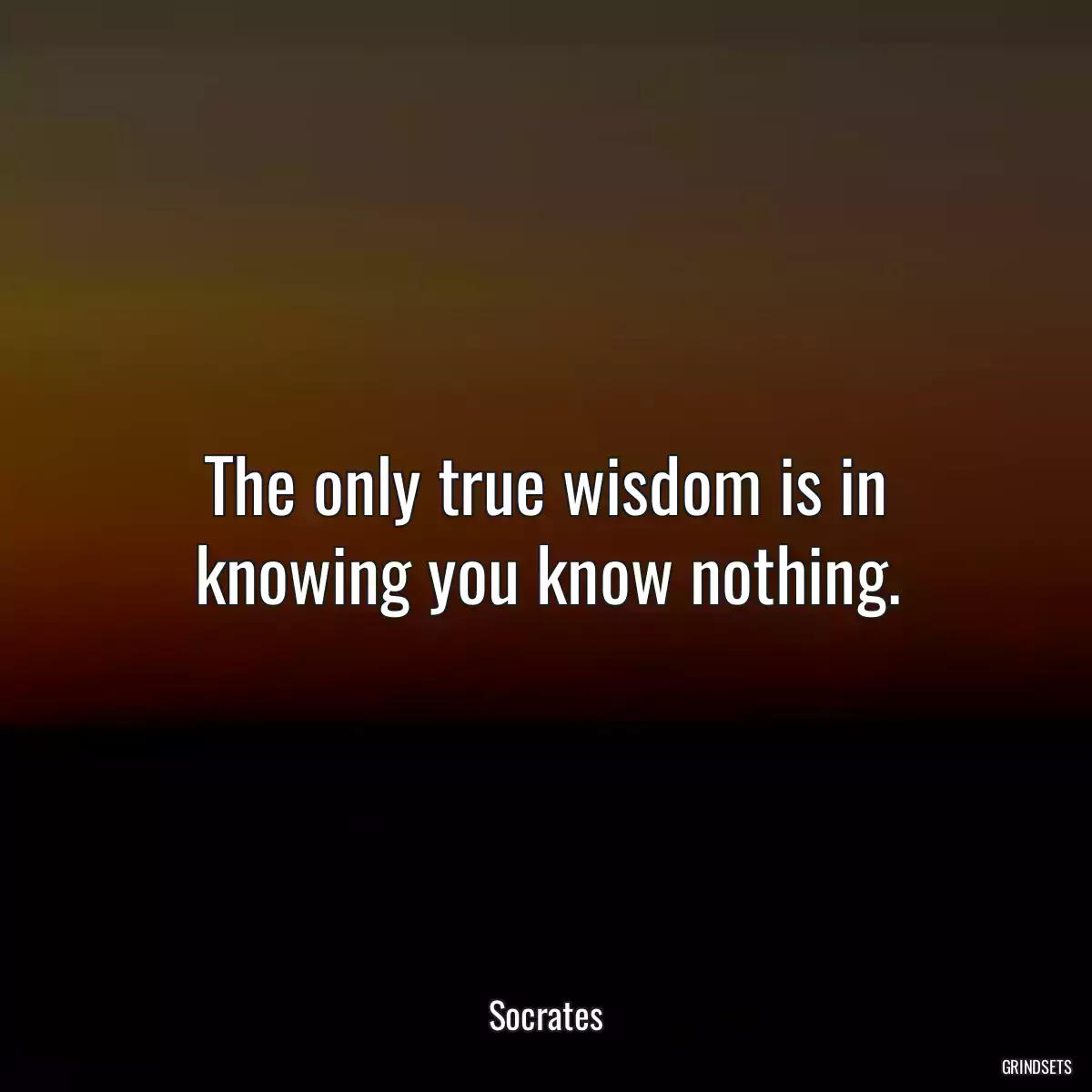 The only true wisdom is in knowing you know nothing.