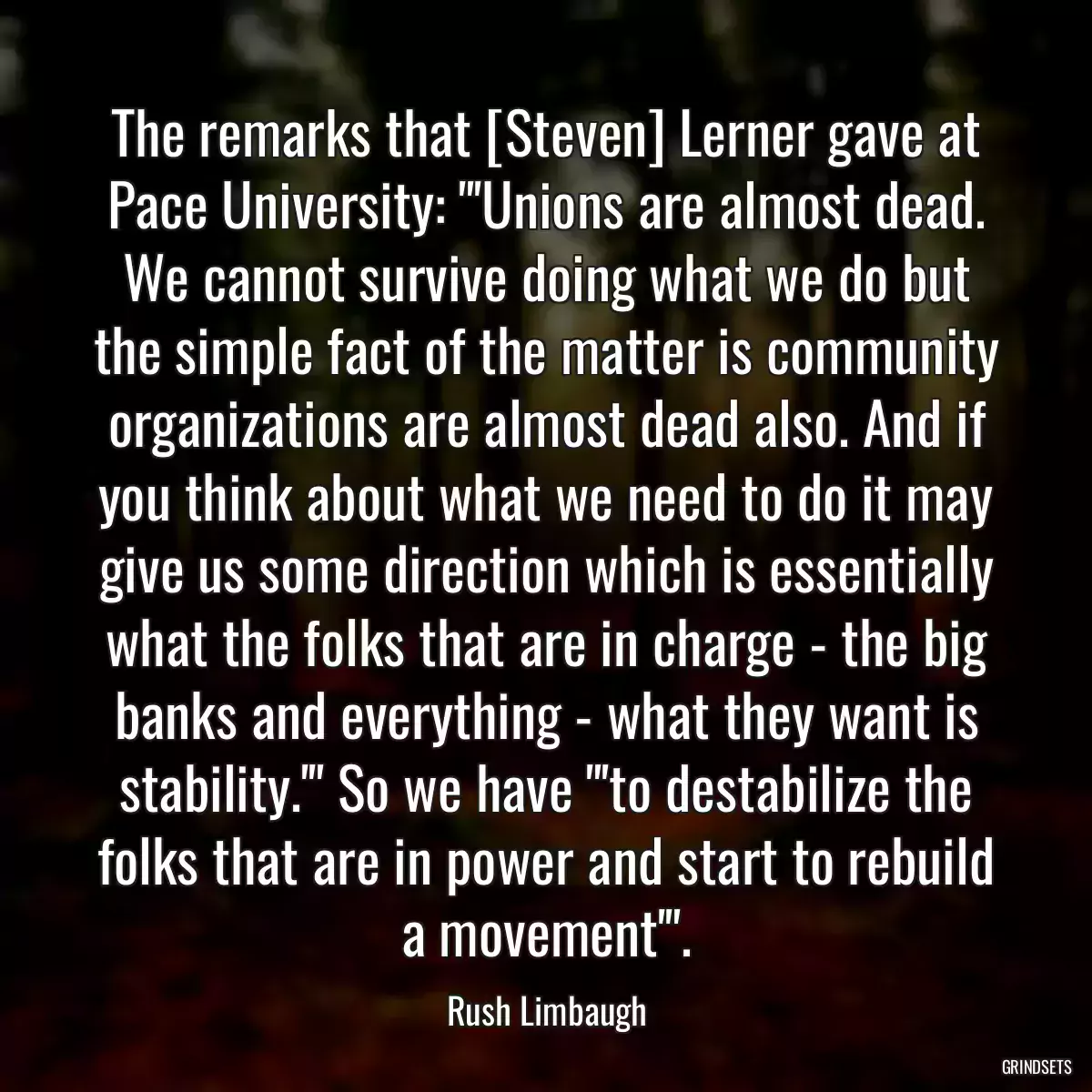 The remarks that [Steven] Lerner gave at Pace University: \