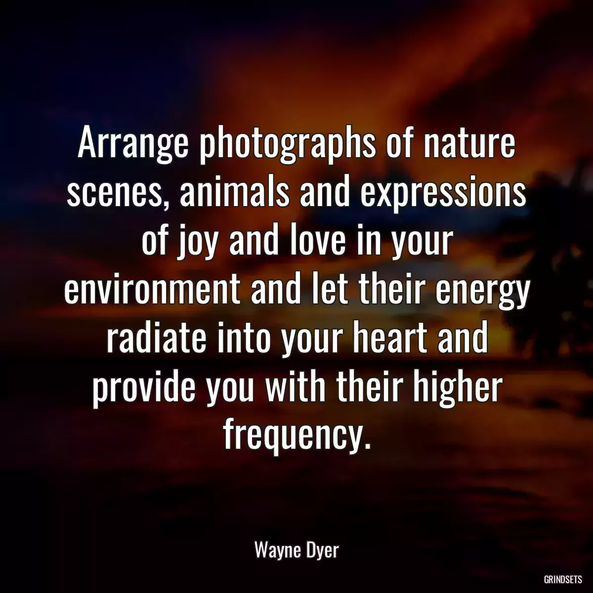 Arrange photographs of nature scenes, animals and expressions of joy and love in your environment and let their energy radiate into your heart and provide you with their higher frequency.