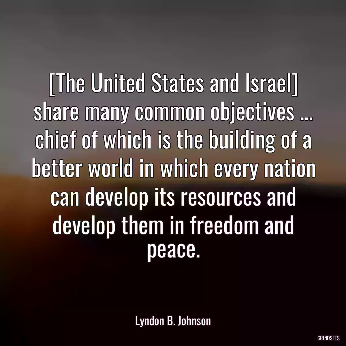 [The United States and Israel] share many common objectives ... chief of which is the building of a better world in which every nation can develop its resources and develop them in freedom and peace.