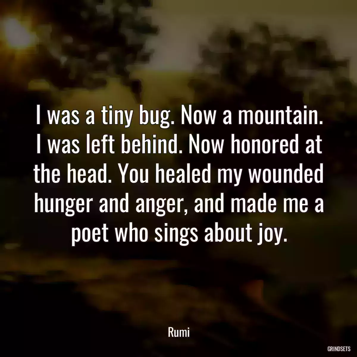 I was a tiny bug. Now a mountain. I was left behind. Now honored at the head. You healed my wounded hunger and anger, and made me a poet who sings about joy.