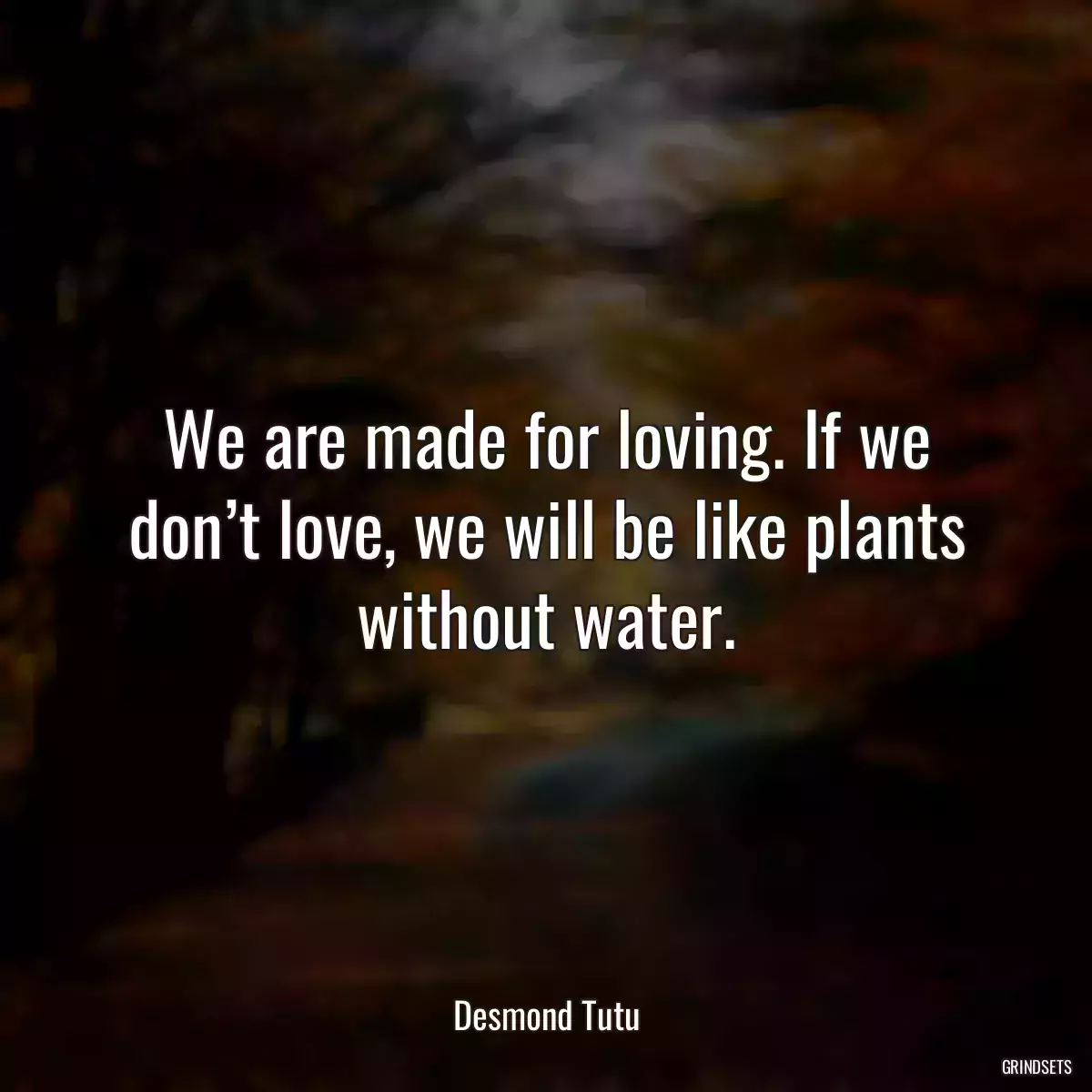 We are made for loving. If we don’t love, we will be like plants without water.