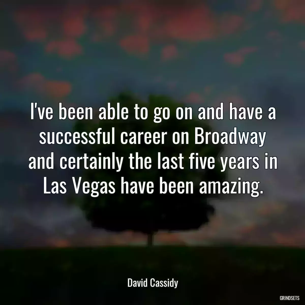 I\'ve been able to go on and have a successful career on Broadway and certainly the last five years in Las Vegas have been amazing.