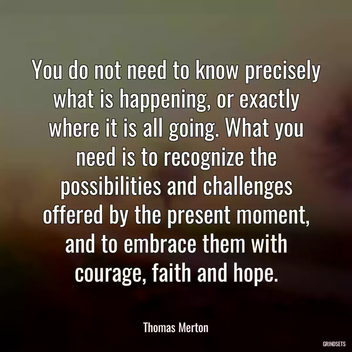 You do not need to know precisely what is happening, or exactly where it is all going. What you need is to recognize the possibilities and challenges offered by the present moment, and to embrace them with courage, faith and hope.