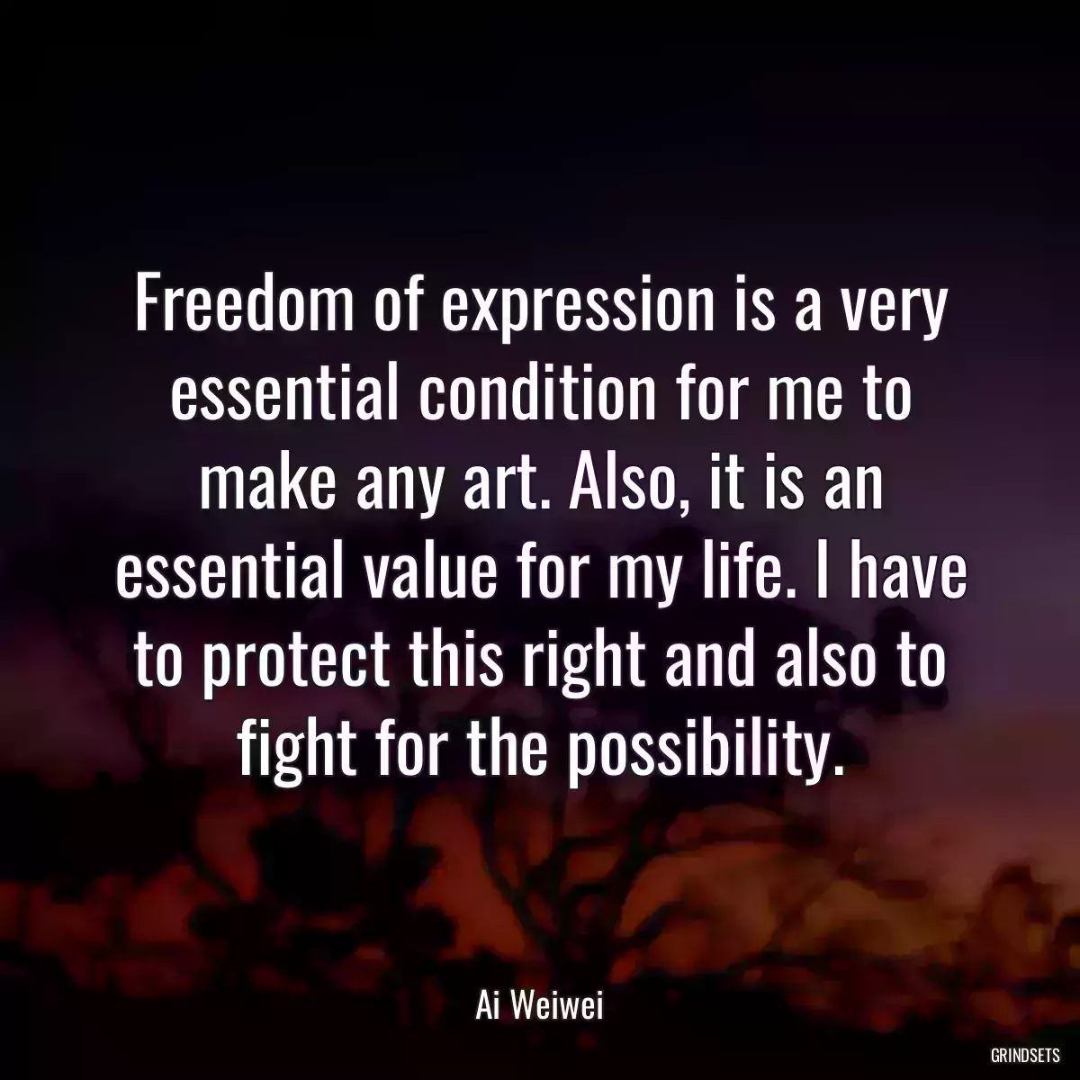 Freedom of expression is a very essential condition for me to make any art. Also, it is an essential value for my life. I have to protect this right and also to fight for the possibility.