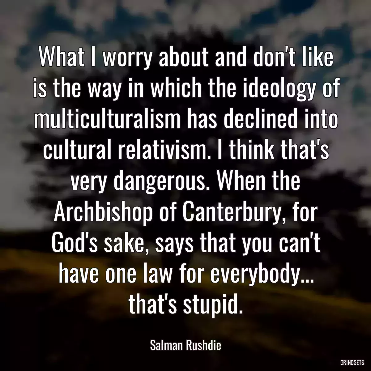 What I worry about and don\'t like is the way in which the ideology of multiculturalism has declined into cultural relativism. I think that\'s very dangerous. When the Archbishop of Canterbury, for God\'s sake, says that you can\'t have one law for everybody... that\'s stupid.