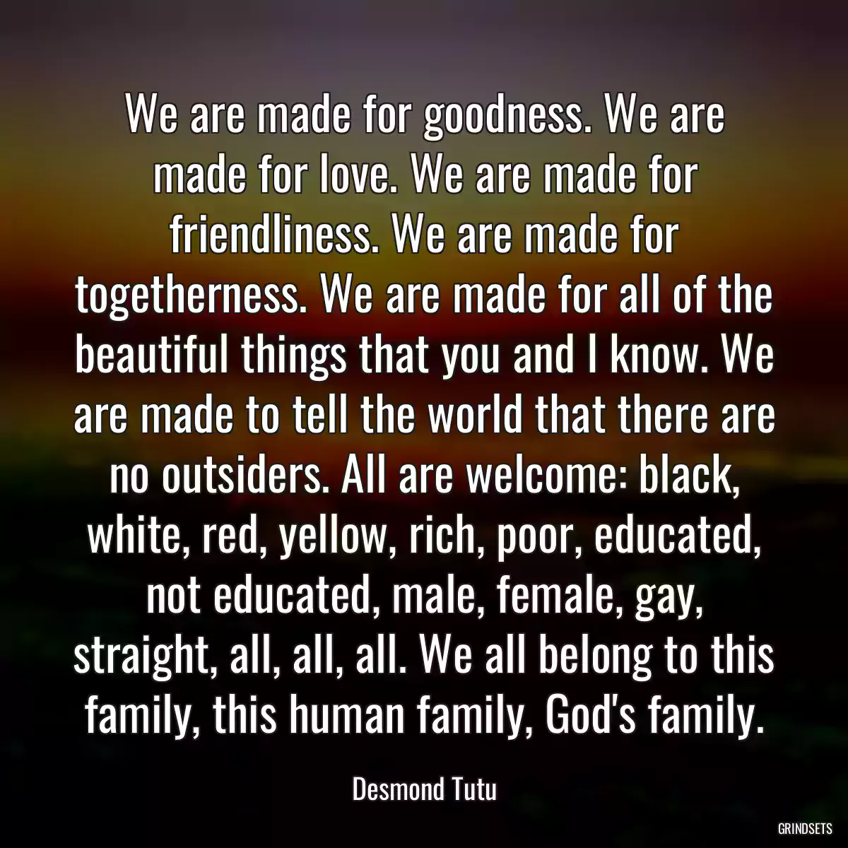 We are made for goodness. We are made for love. We are made for friendliness. We are made for togetherness. We are made for all of the beautiful things that you and I know. We are made to tell the world that there are no outsiders. All are welcome: black, white, red, yellow, rich, poor, educated, not educated, male, female, gay, straight, all, all, all. We all belong to this family, this human family, God\'s family.