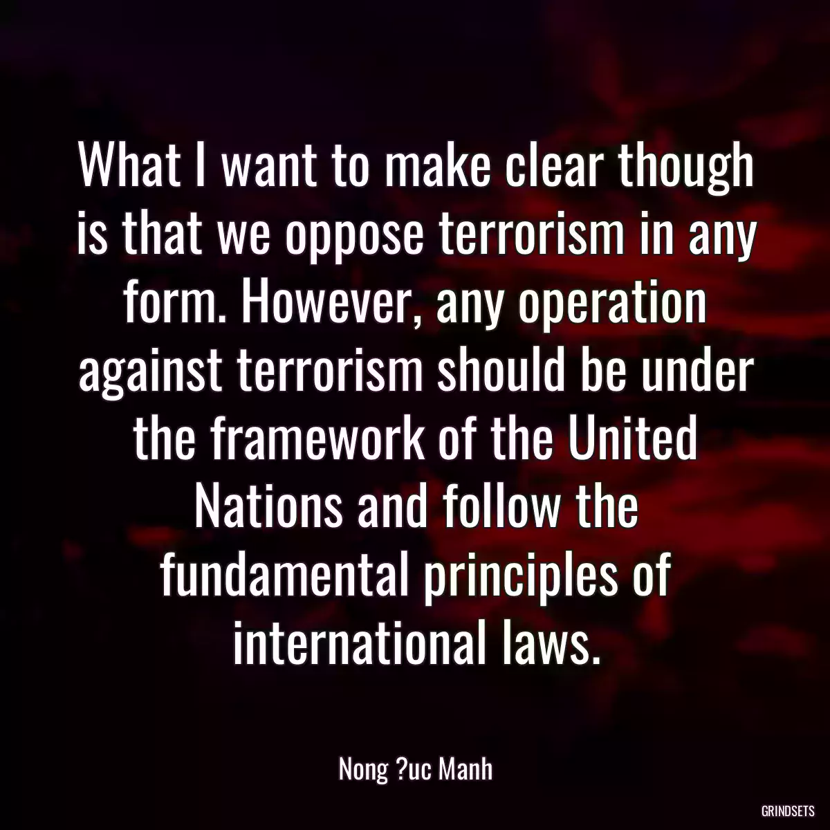 What I want to make clear though is that we oppose terrorism in any form. However, any operation against terrorism should be under the framework of the United Nations and follow the fundamental principles of international laws.