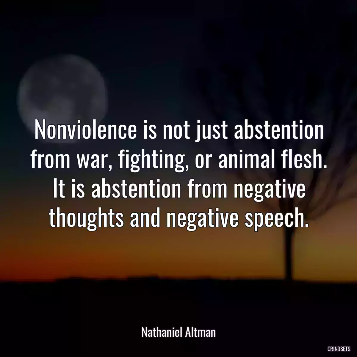 Nonviolence is not just abstention from war, fighting, or animal flesh. It is abstention from negative thoughts and negative speech.