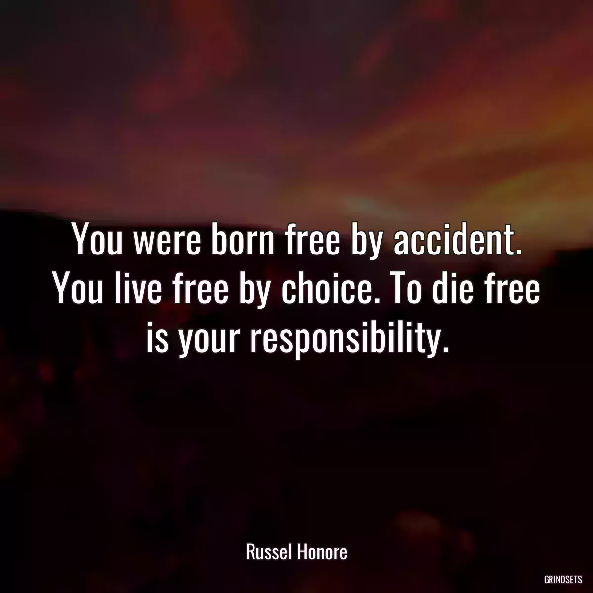 You were born free by accident. You live free by choice. To die free is your responsibility.