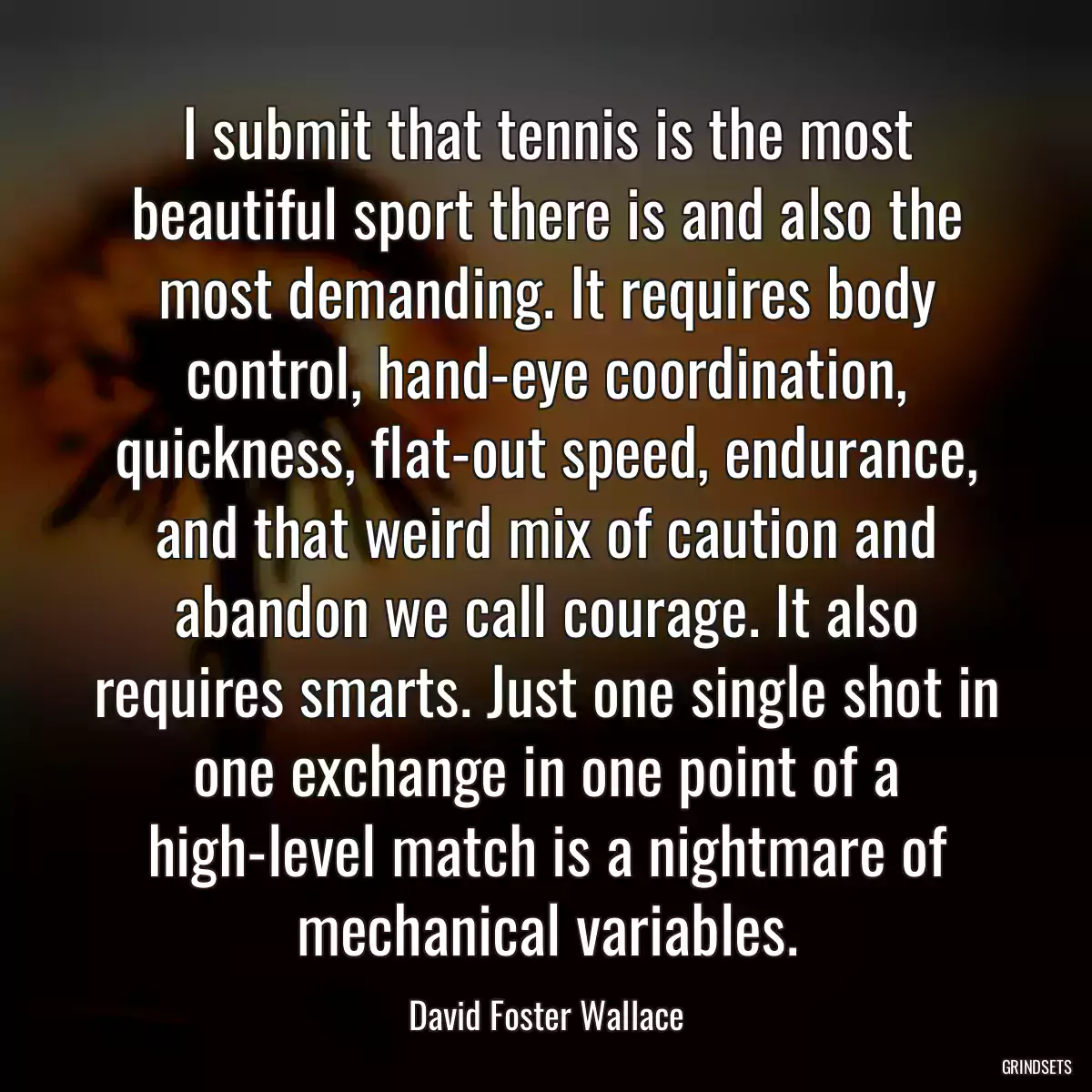 I submit that tennis is the most beautiful sport there is and also the most demanding. It requires body control, hand-eye coordination, quickness, flat-out speed, endurance, and that weird mix of caution and abandon we call courage. It also requires smarts. Just one single shot in one exchange in one point of a high-level match is a nightmare of mechanical variables.