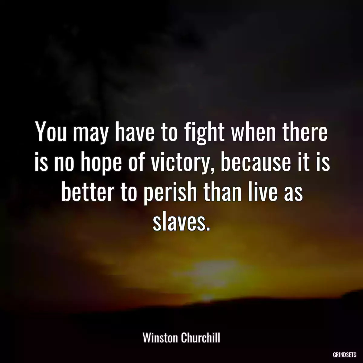 You may have to fight when there is no hope of victory, because it is better to perish than live as slaves.