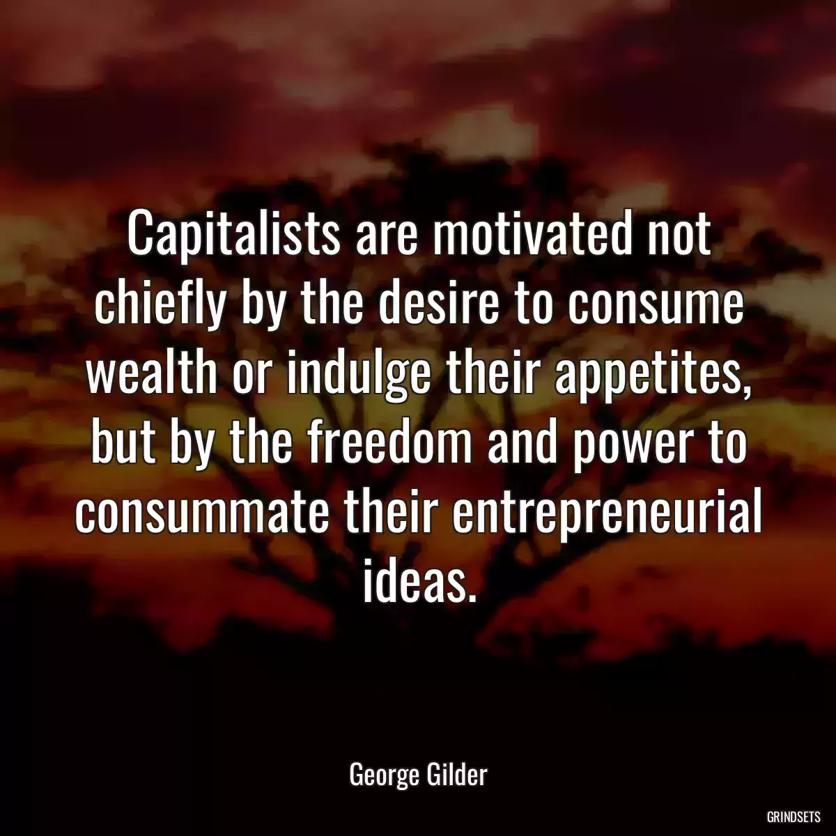 Capitalists are motivated not chiefly by the desire to consume wealth or indulge their appetites, but by the freedom and power to consummate their entrepreneurial ideas.