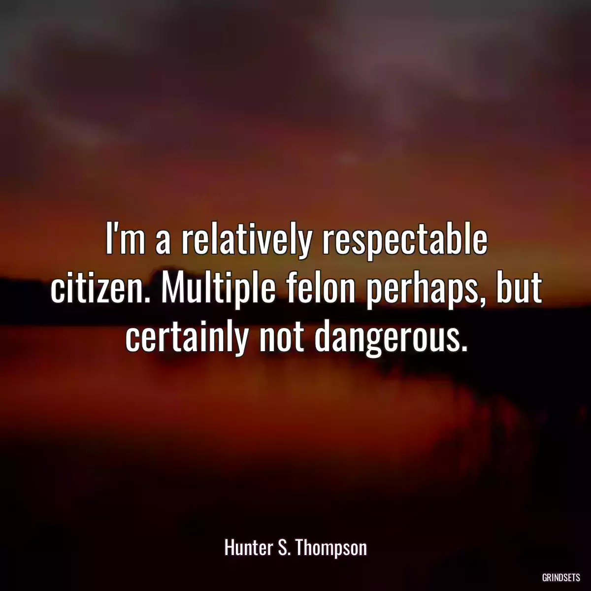 I\'m a relatively respectable citizen. Multiple felon perhaps, but certainly not dangerous.