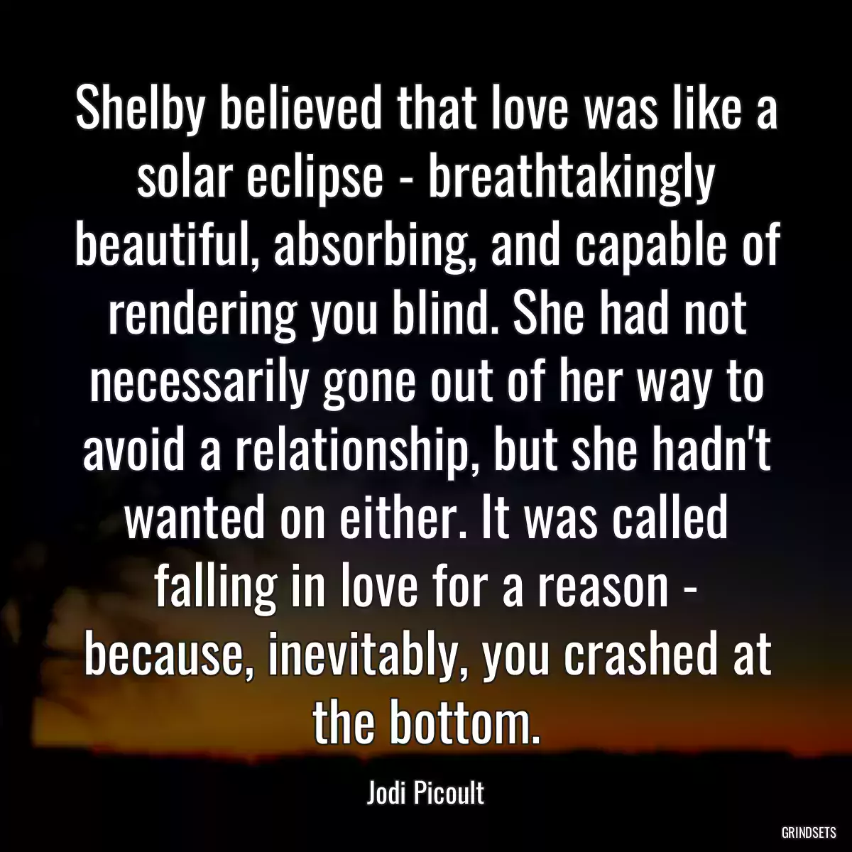 Shelby believed that love was like a solar eclipse - breathtakingly beautiful, absorbing, and capable of rendering you blind. She had not necessarily gone out of her way to avoid a relationship, but she hadn\'t wanted on either. It was called falling in love for a reason - because, inevitably, you crashed at the bottom.