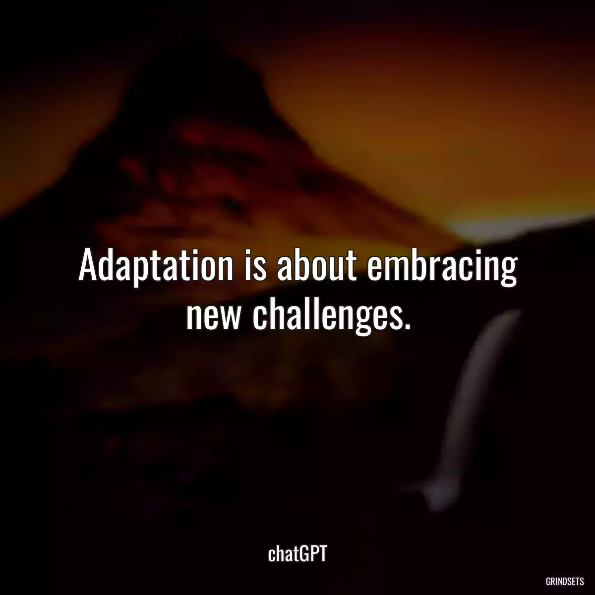 Adaptation is about embracing new challenges.