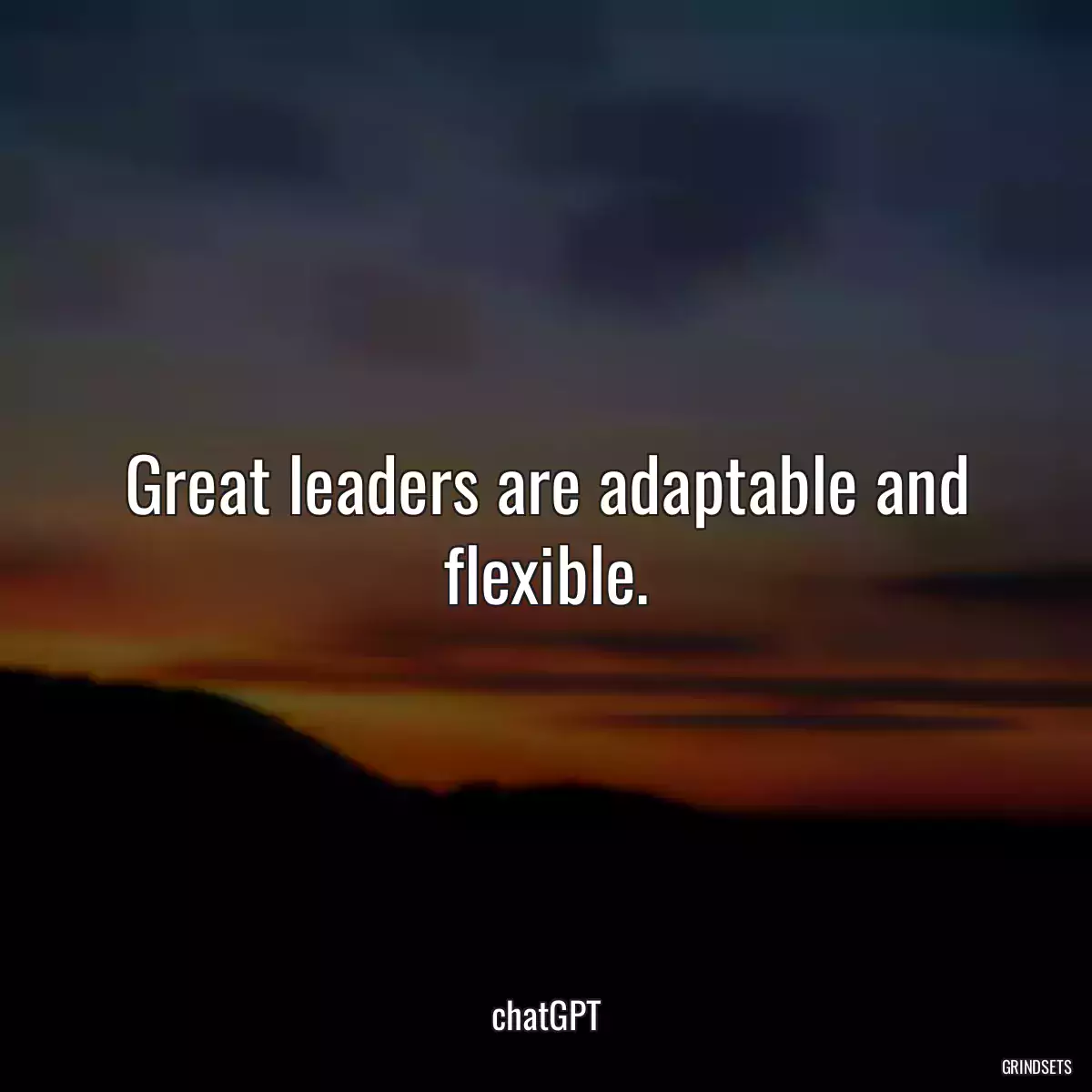 Great leaders are adaptable and flexible.