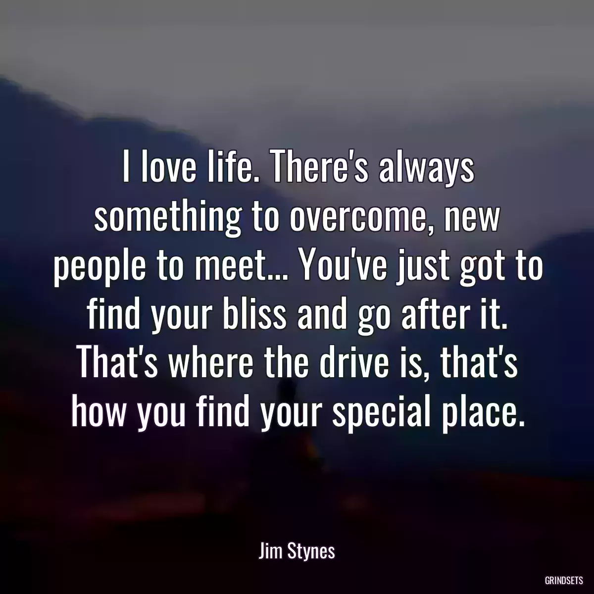 I love life. There\'s always something to overcome, new people to meet... You\'ve just got to find your bliss and go after it. That\'s where the drive is, that\'s how you find your special place.