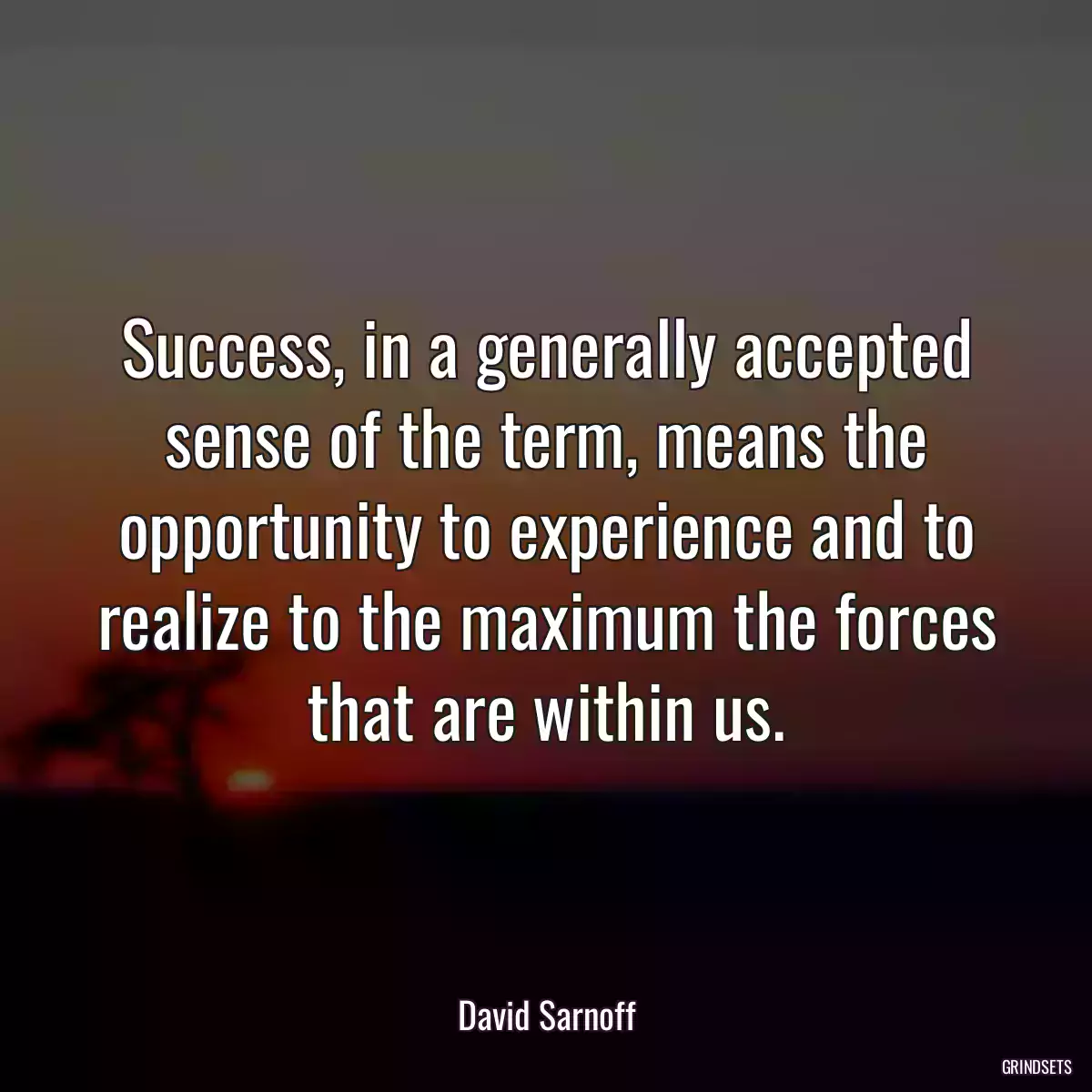 Success, in a generally accepted sense of the term, means the opportunity to experience and to realize to the maximum the forces that are within us.