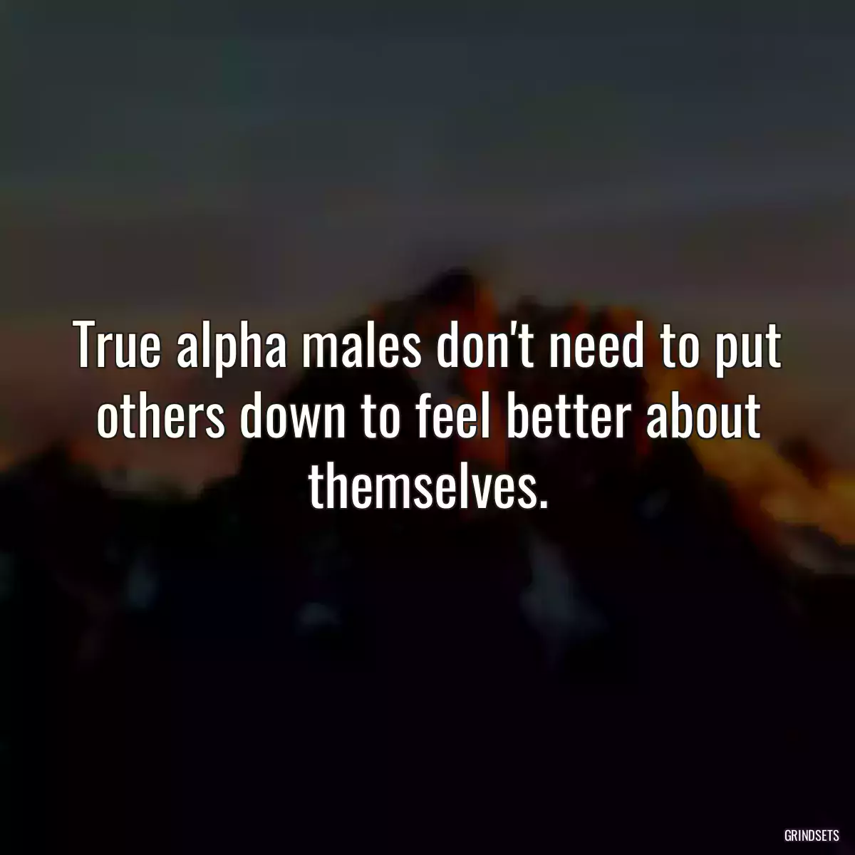 True alpha males don\'t need to put others down to feel better about themselves.