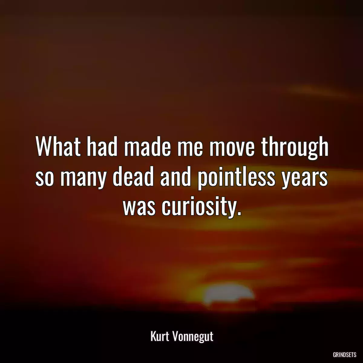 What had made me move through so many dead and pointless years was curiosity.