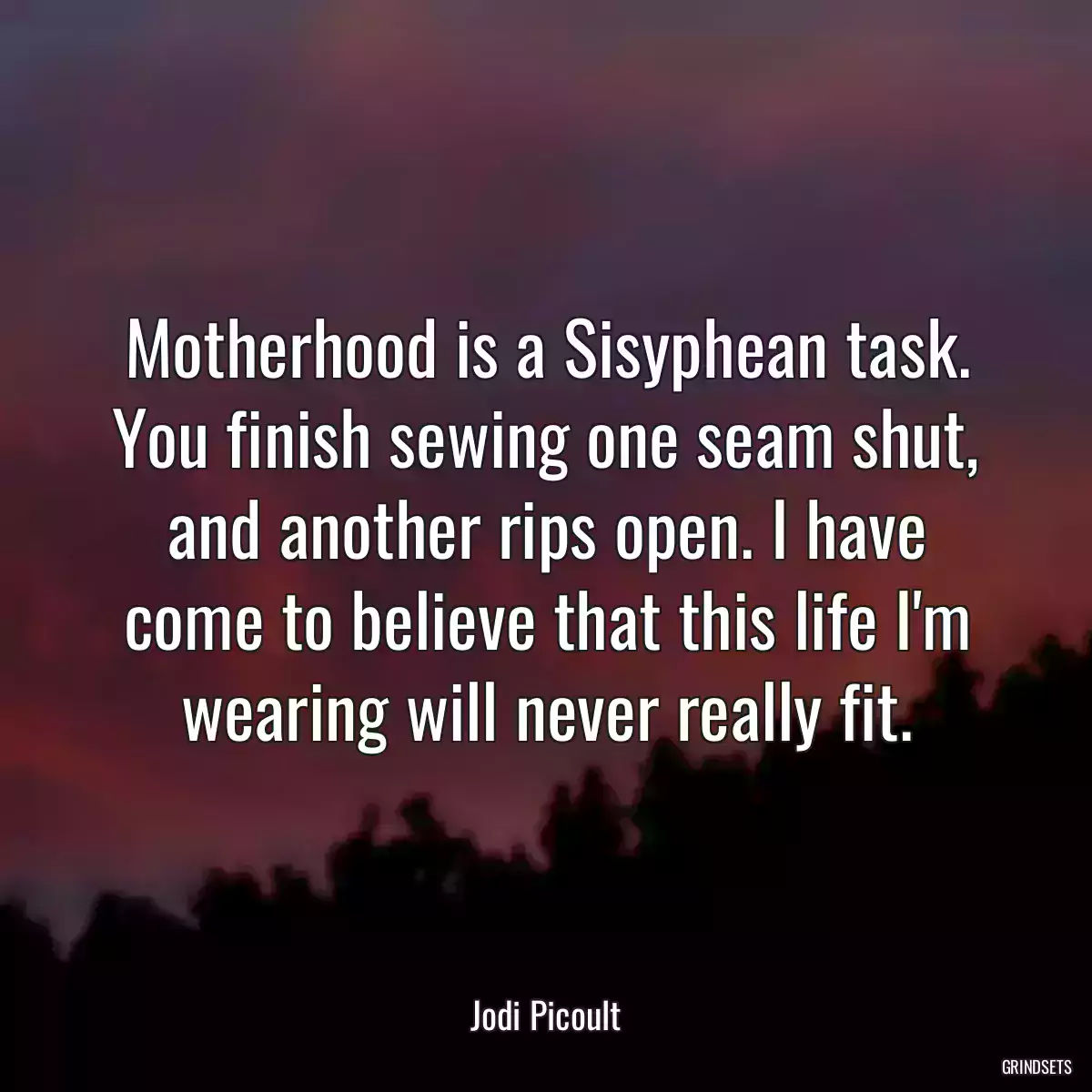Motherhood is a Sisyphean task. You finish sewing one seam shut, and another rips open. I have come to believe that this life I\'m wearing will never really fit.