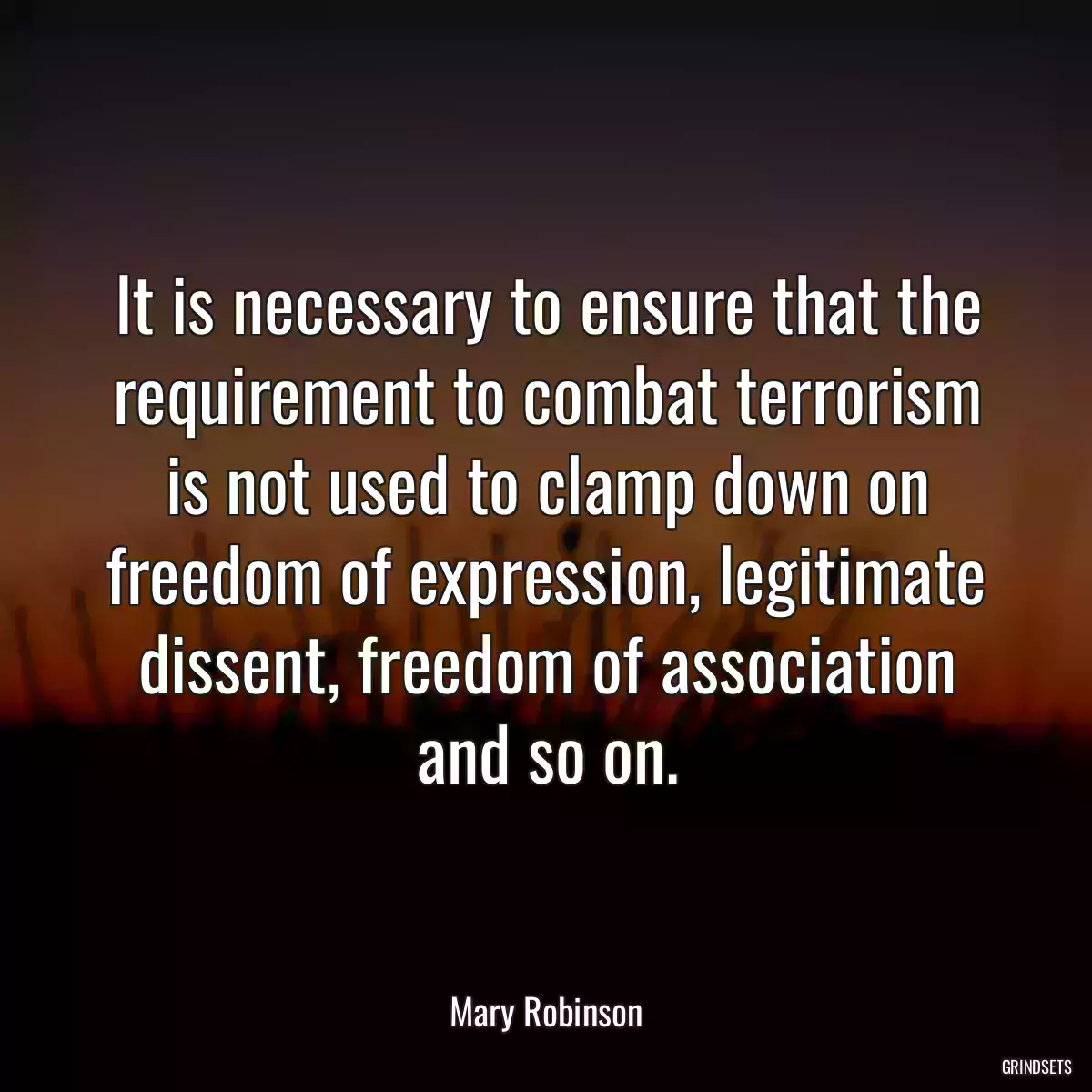 It is necessary to ensure that the requirement to combat terrorism is not used to clamp down on freedom of expression, legitimate dissent, freedom of association and so on.