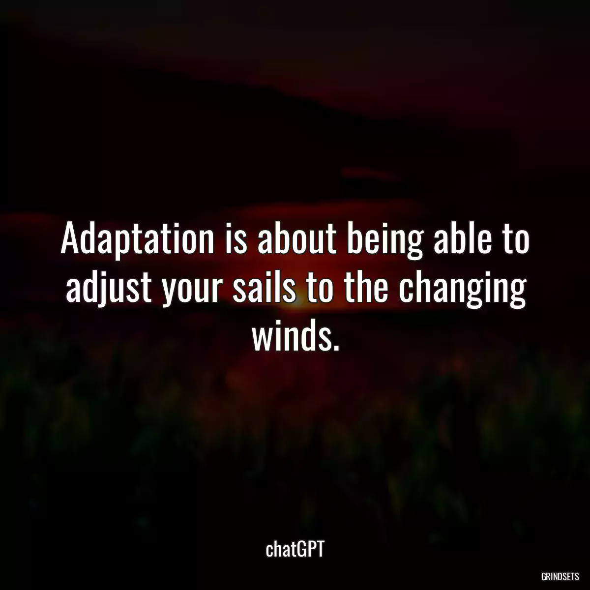 Adaptation is about being able to adjust your sails to the changing winds.