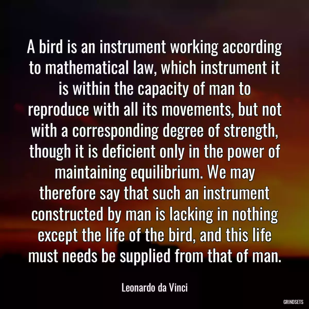A bird is an instrument working according to mathematical law, which instrument it is within the capacity of man to reproduce with all its movements, but not with a corresponding degree of strength, though it is deficient only in the power of maintaining equilibrium. We may therefore say that such an instrument constructed by man is lacking in nothing except the life of the bird, and this life must needs be supplied from that of man.