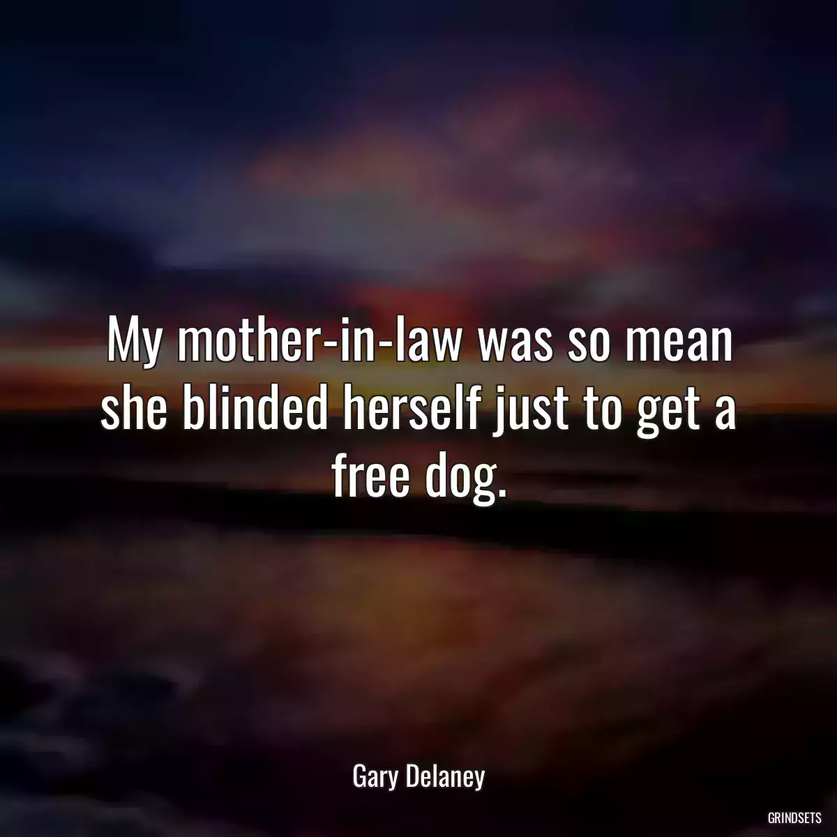 My mother-in-law was so mean she blinded herself just to get a free dog.