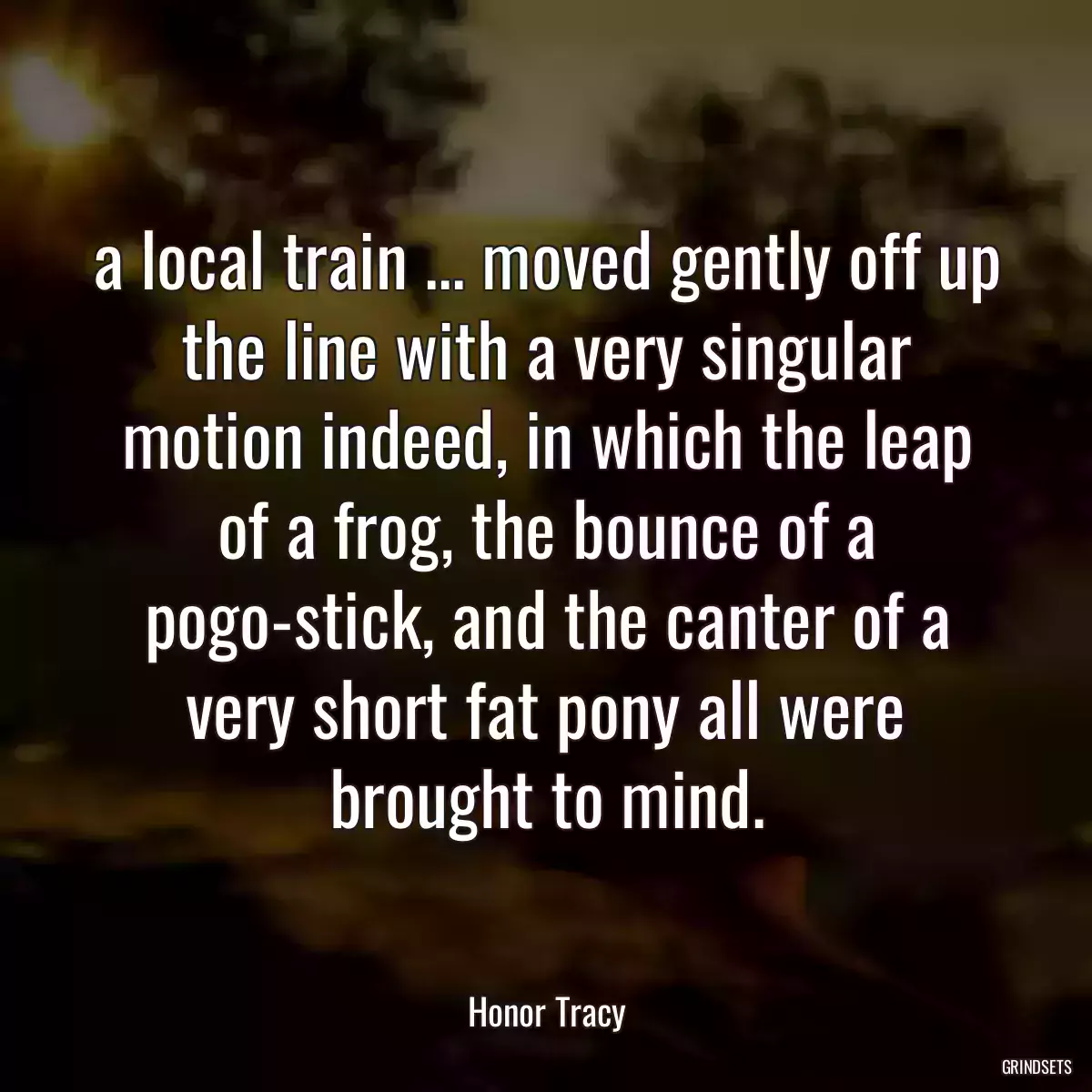 a local train ... moved gently off up the line with a very singular motion indeed, in which the leap of a frog, the bounce of a pogo-stick, and the canter of a very short fat pony all were brought to mind.