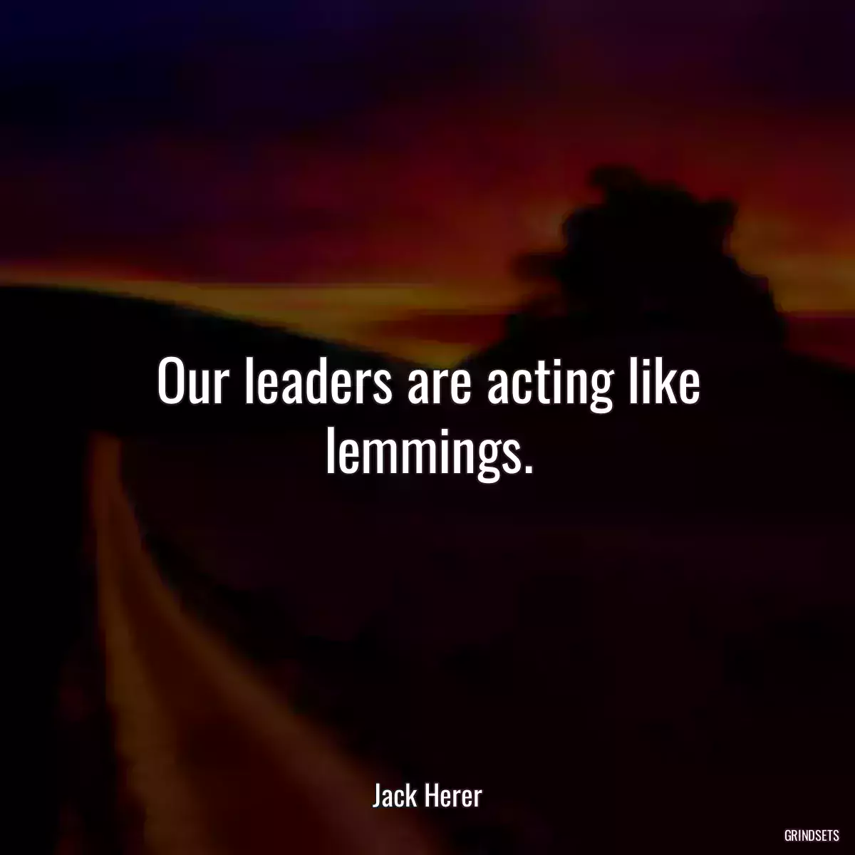 Our leaders are acting like lemmings.