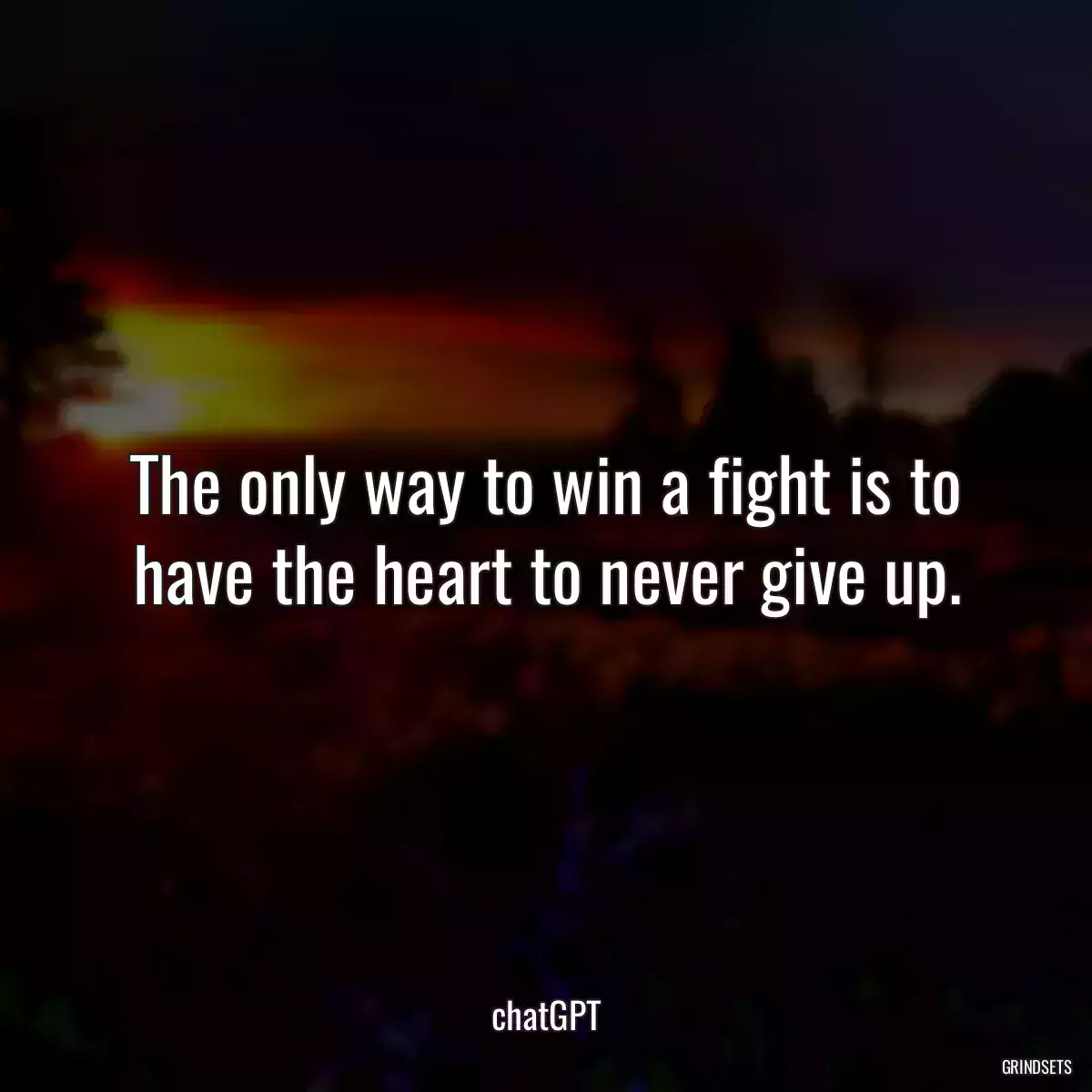 The only way to win a fight is to have the heart to never give up.