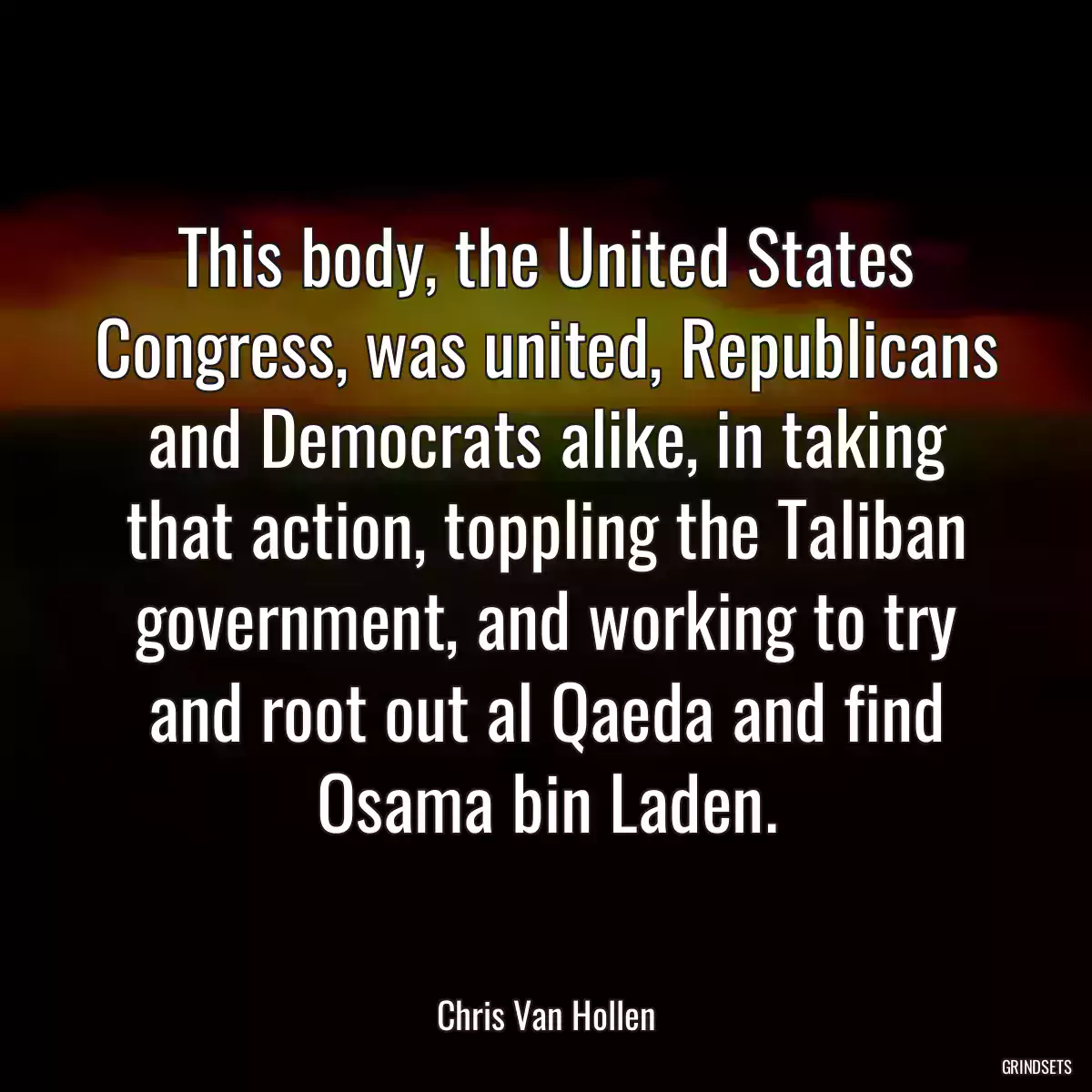 This body, the United States Congress, was united, Republicans and Democrats alike, in taking that action, toppling the Taliban government, and working to try and root out al Qaeda and find Osama bin Laden.