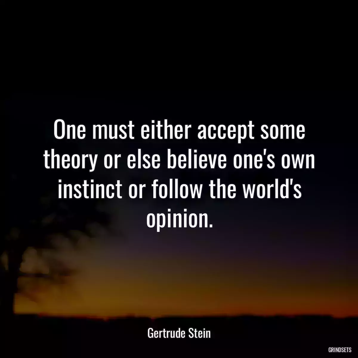 One must either accept some theory or else believe one\'s own instinct or follow the world\'s opinion.