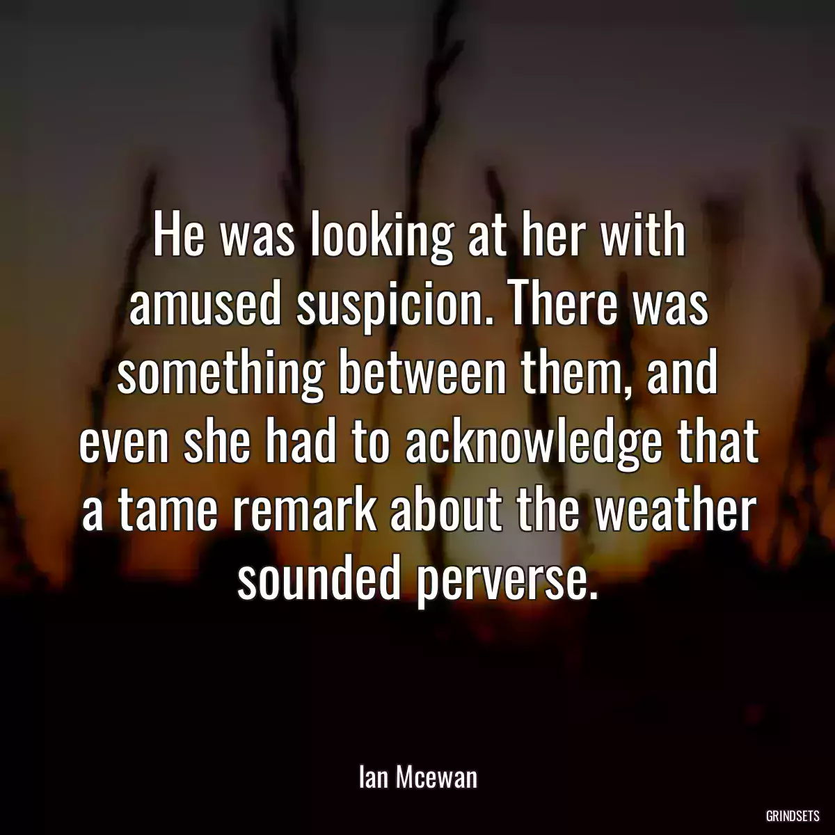 He was looking at her with amused suspicion. There was something between them, and even she had to acknowledge that a tame remark about the weather sounded perverse.