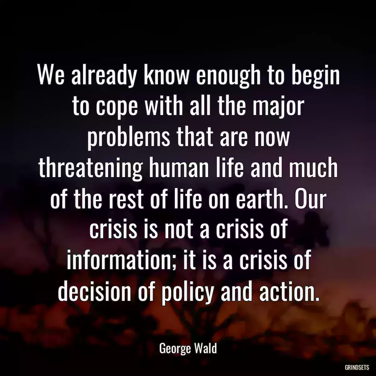 We already know enough to begin to cope with all the major problems that are now threatening human life and much of the rest of life on earth. Our crisis is not a crisis of information; it is a crisis of decision of policy and action.