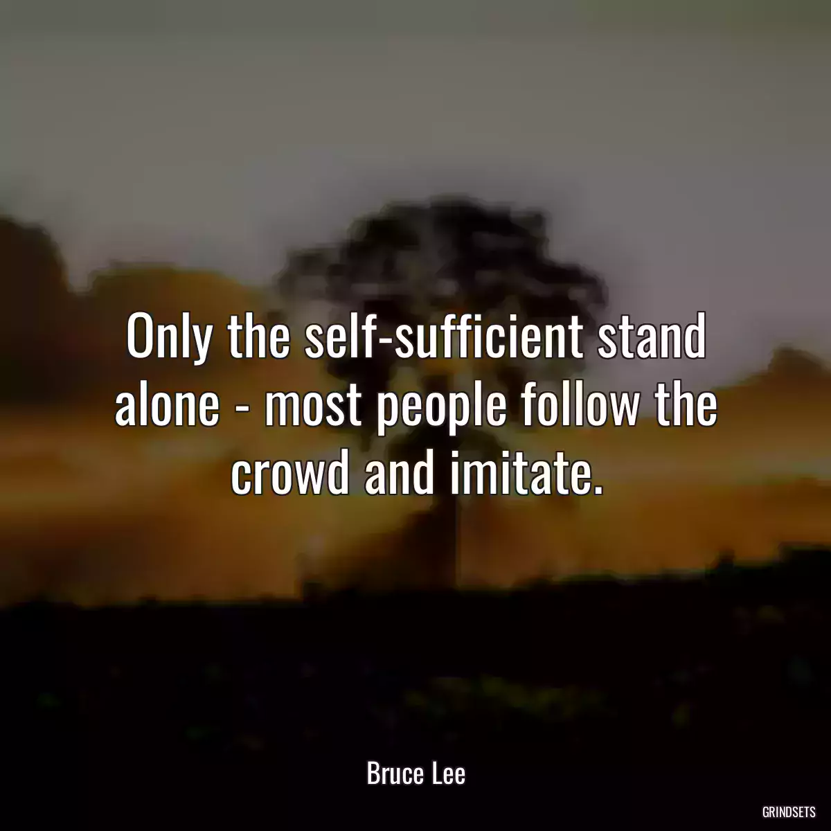 Only the self-sufficient stand alone - most people follow the crowd and imitate.