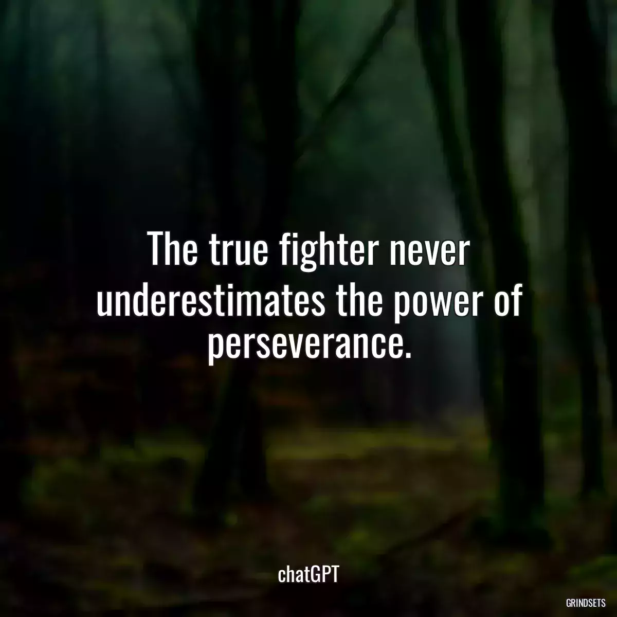 The true fighter never underestimates the power of perseverance.