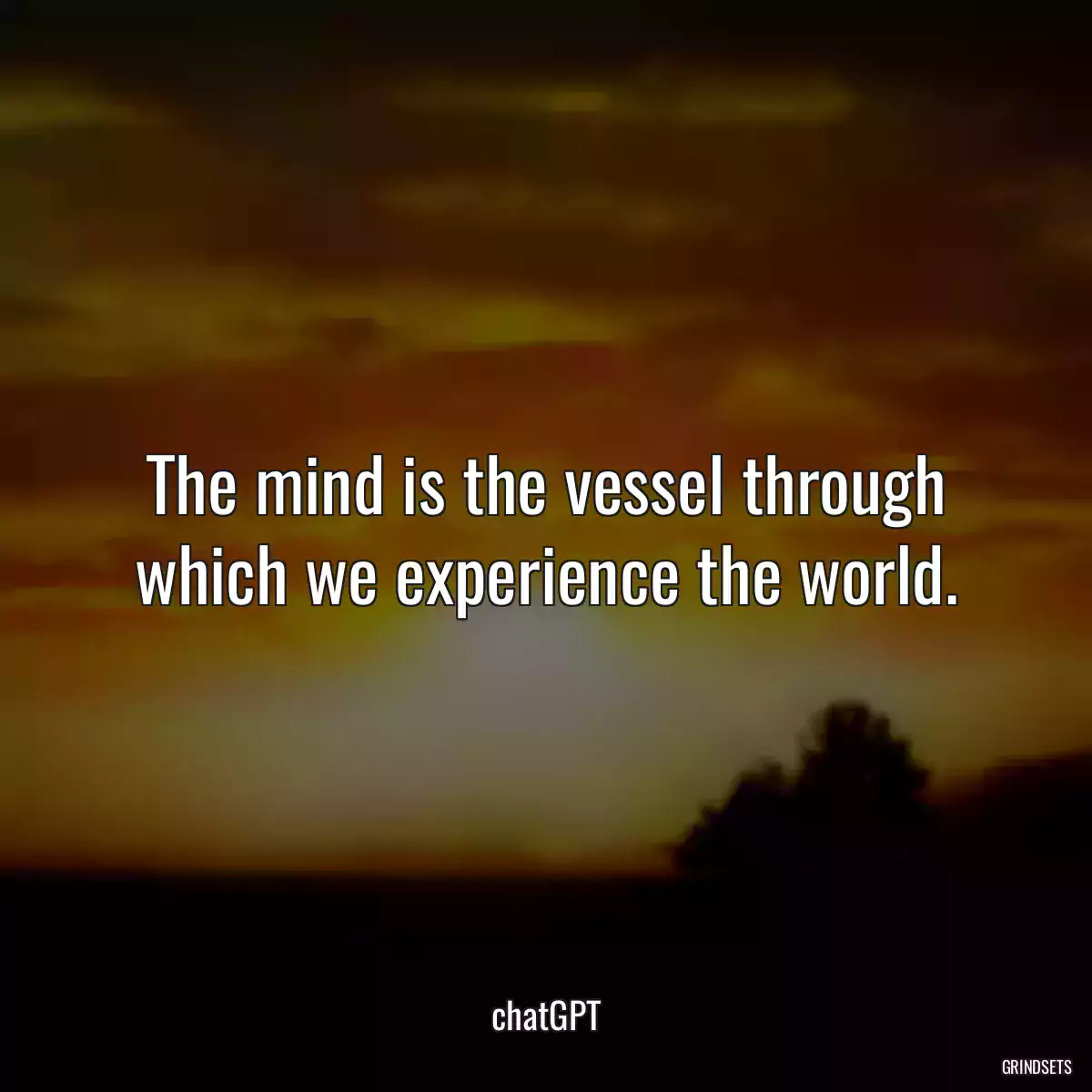 The mind is the vessel through which we experience the world.