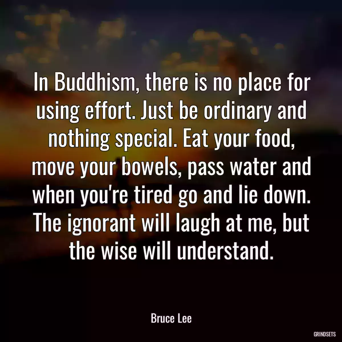 In Buddhism, there is no place for using effort. Just be ordinary and nothing special. Eat your food, move your bowels, pass water and when you\'re tired go and lie down. The ignorant will laugh at me, but the wise will understand.