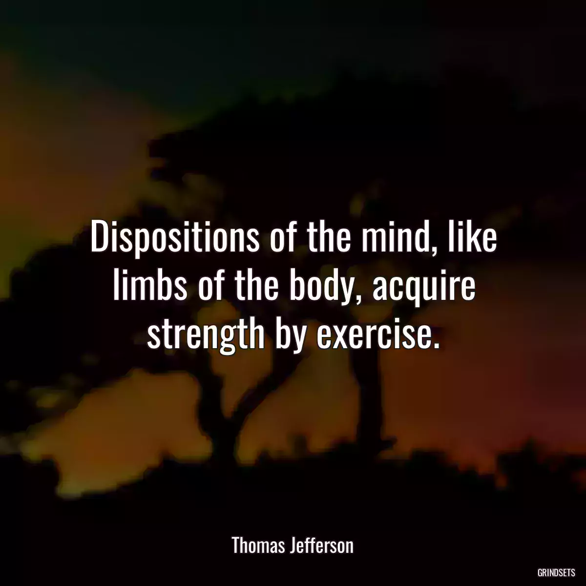 Dispositions of the mind, like limbs of the body, acquire strength by exercise.