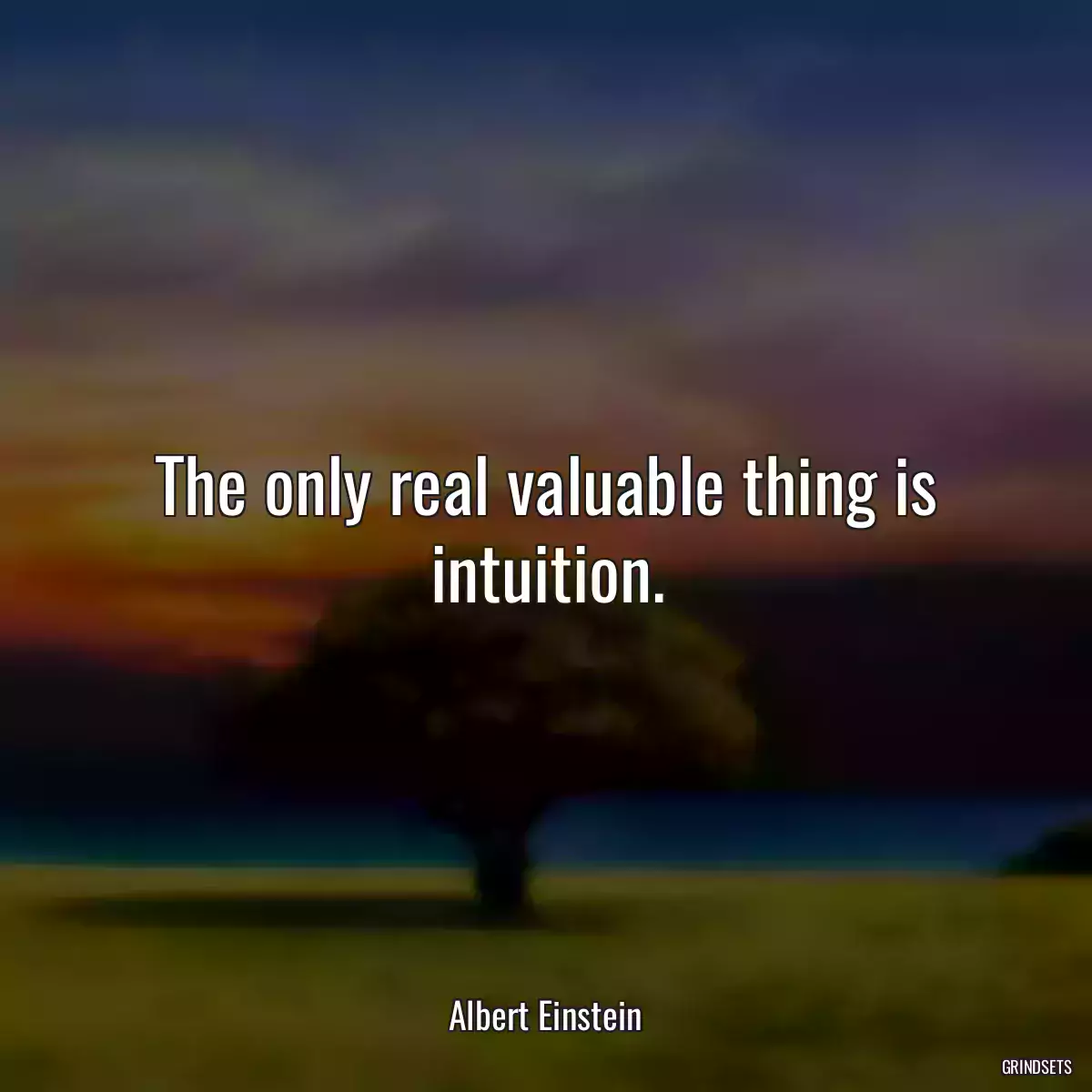 The only real valuable thing is intuition.