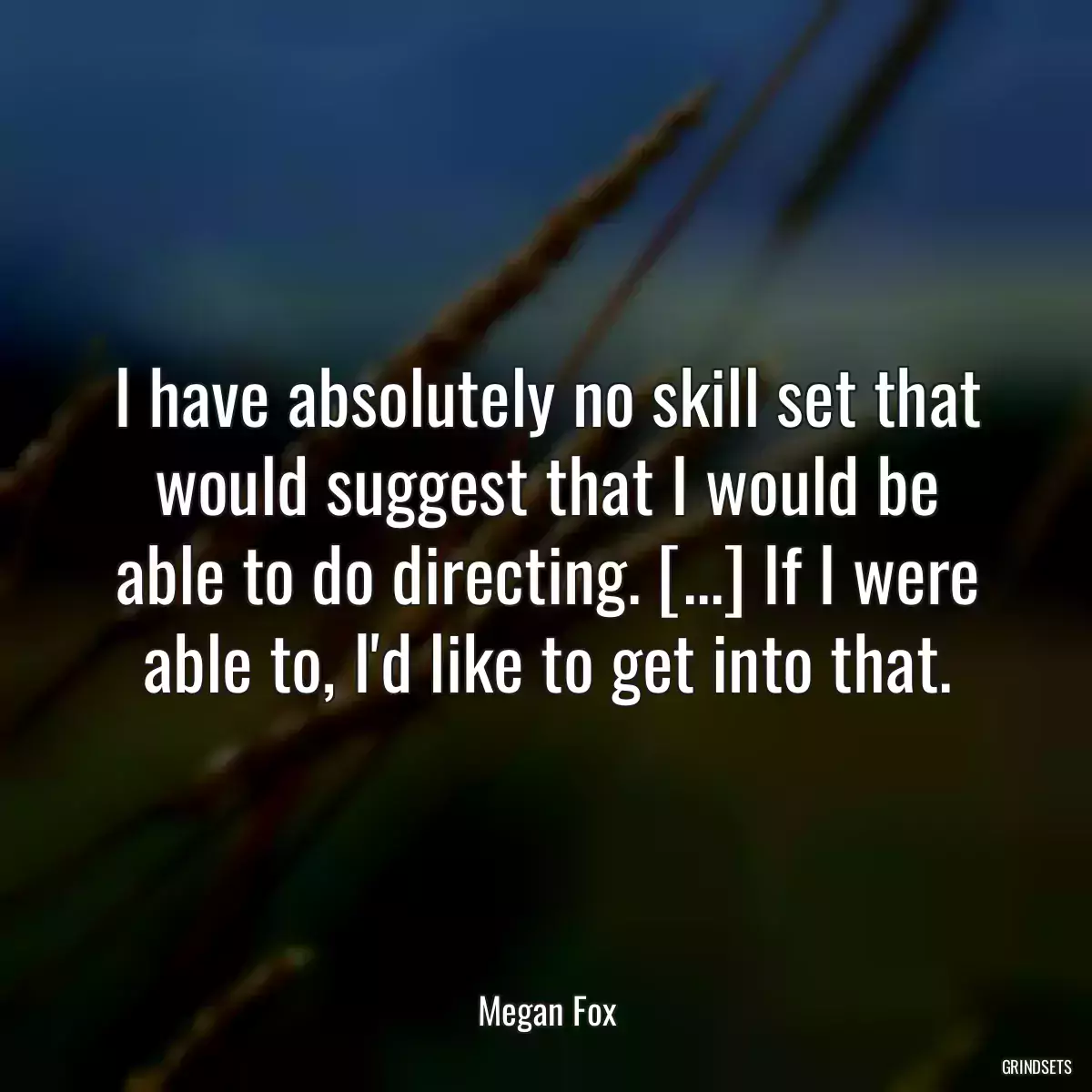 I have absolutely no skill set that would suggest that I would be able to do directing. [...] If I were able to, I\'d like to get into that.