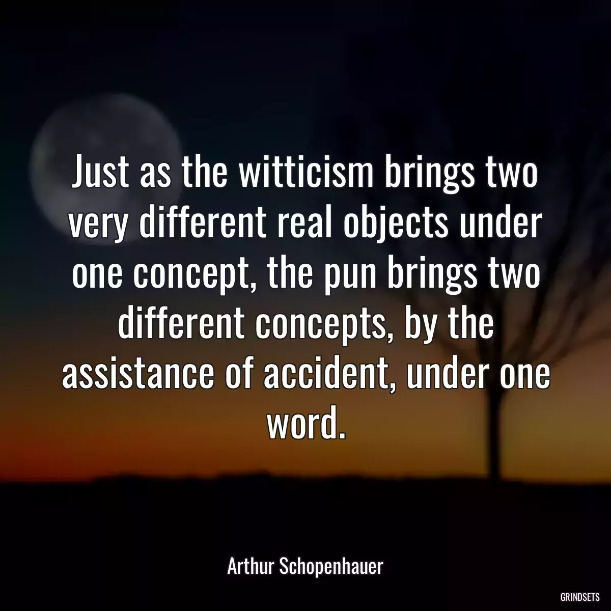 Just as the witticism brings two very different real objects under one concept, the pun brings two different concepts, by the assistance of accident, under one word.