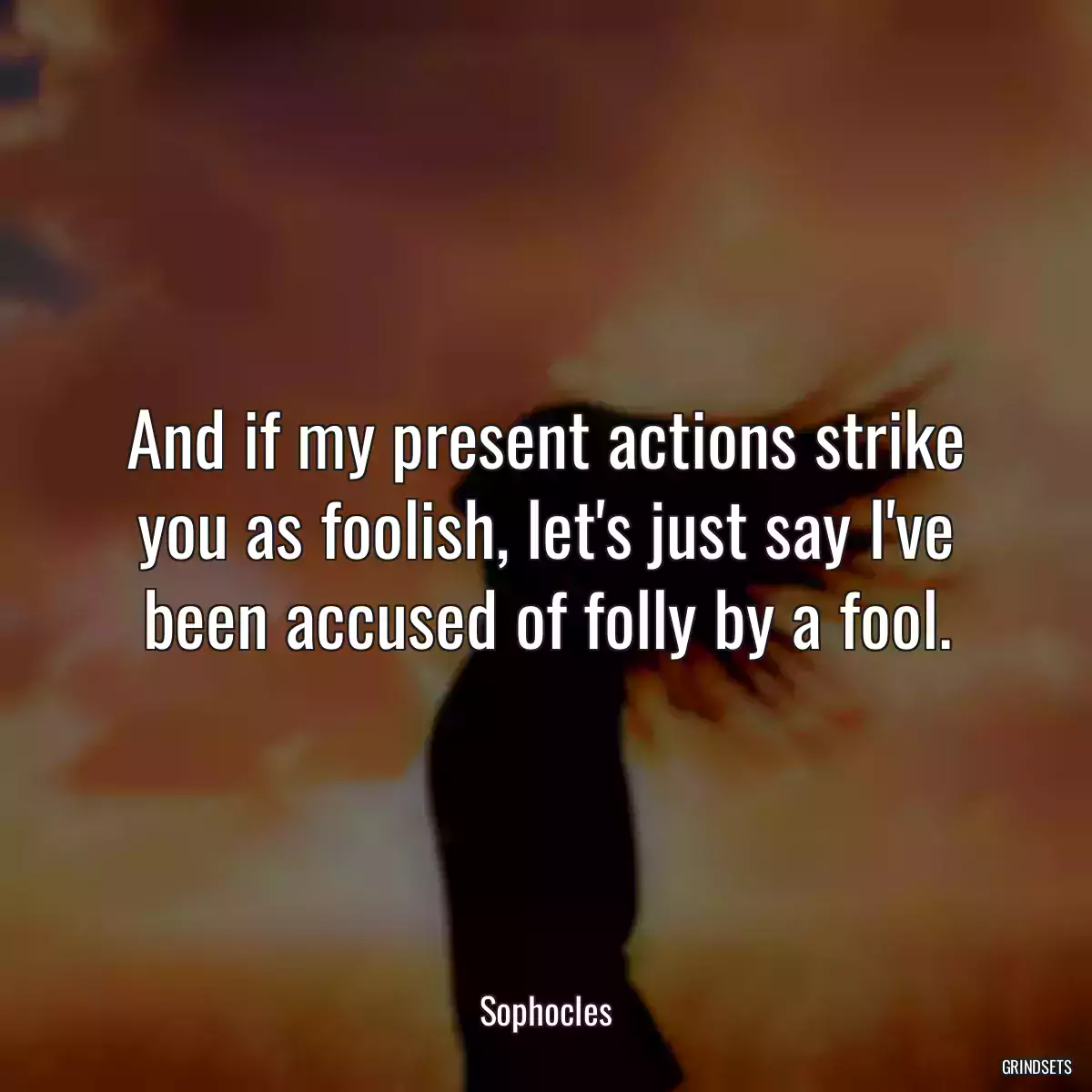 And if my present actions strike you as foolish, let\'s just say I\'ve been accused of folly by a fool.