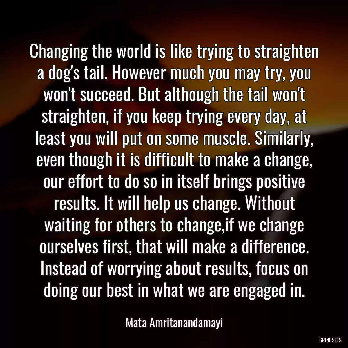 Changing the world is like trying to straighten a dog\'s tail. However much you may try, you won\'t succeed. But although the tail won\'t straighten, if you keep trying every day, at least you will put on some muscle. Similarly, even though it is difficult to make a change, our effort to do so in itself brings positive results. It will help us change. Without waiting for others to change,if we change ourselves first, that will make a difference. Instead of worrying about results, focus on doing our best in what we are engaged in.